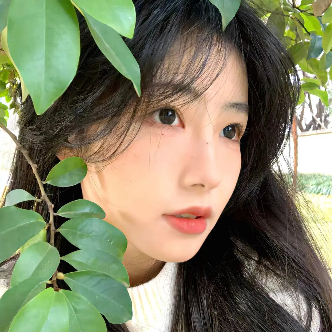 楚留香新传之影子传奇